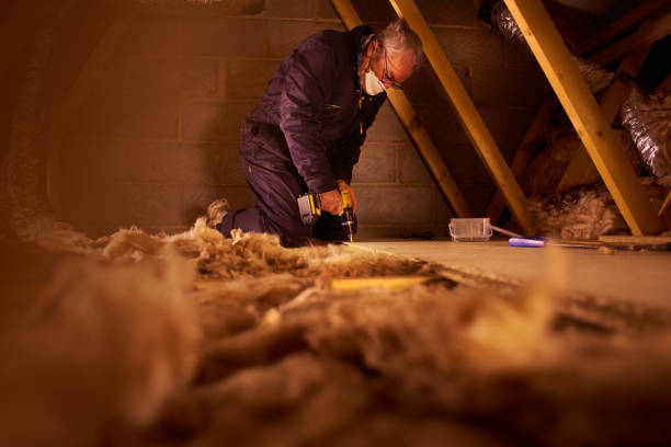 Best Geographic-Specific Insulation Services in USA